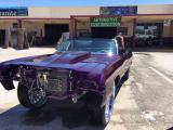Purple Impala 5