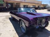 Purple Impala 3