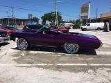 Purple Impala 1