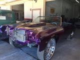 Purple Impala 4