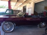 Purple Impala 2